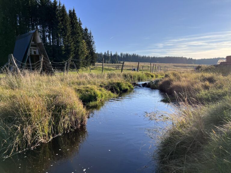 oživení