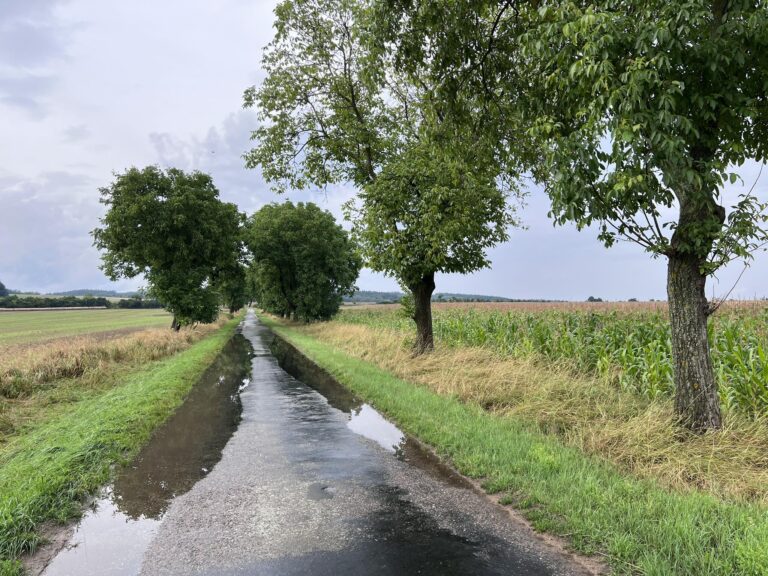 závod